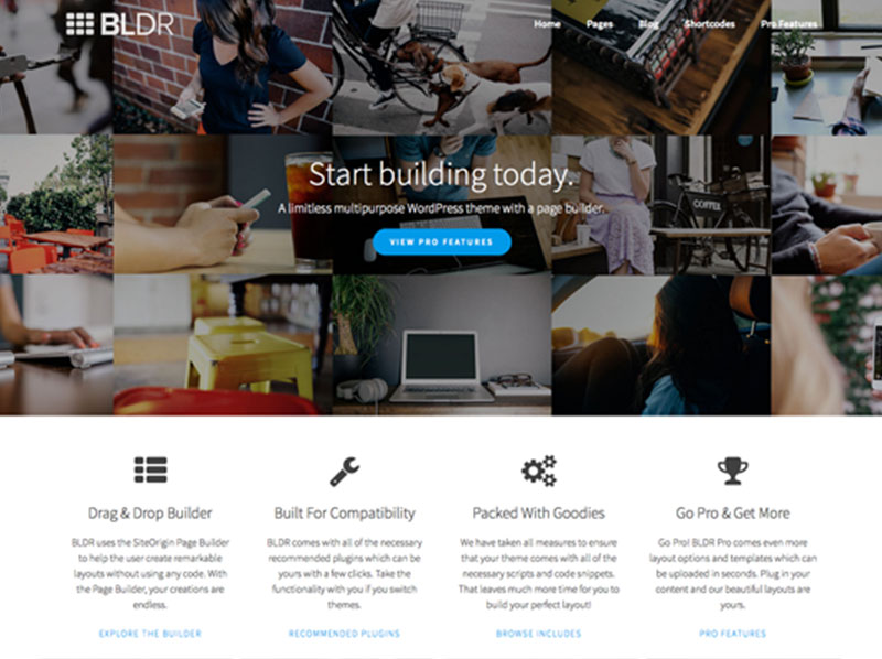 Buffalo Web Developer